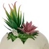 9" LED Lighted Succulent Halloween Skull Planter