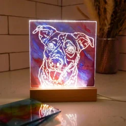 LED Light Frame Alcohol Ink Kit