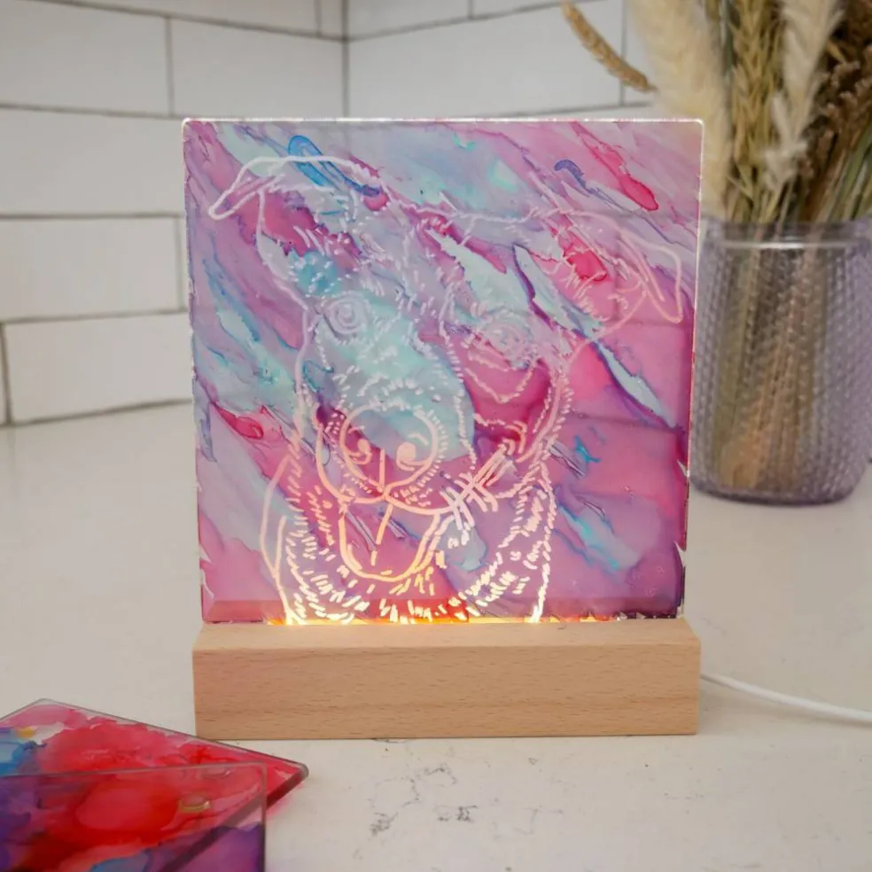 LED Light Frame Alcohol Ink Kit