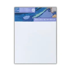 Level 1 Back Stapled Canvas by Artist's Loft®