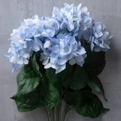 Light Blue Hydrangea Bush by Ashland®