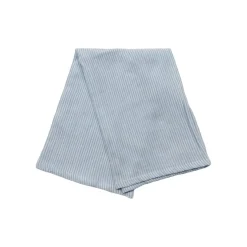 Light Blue Striped Napkins, 2ct. by Ashland®