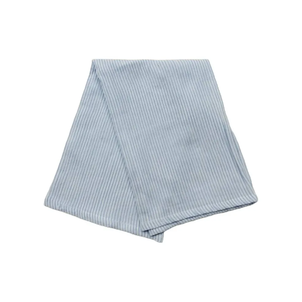 Light Blue Striped Napkins, 2ct. by Ashland®