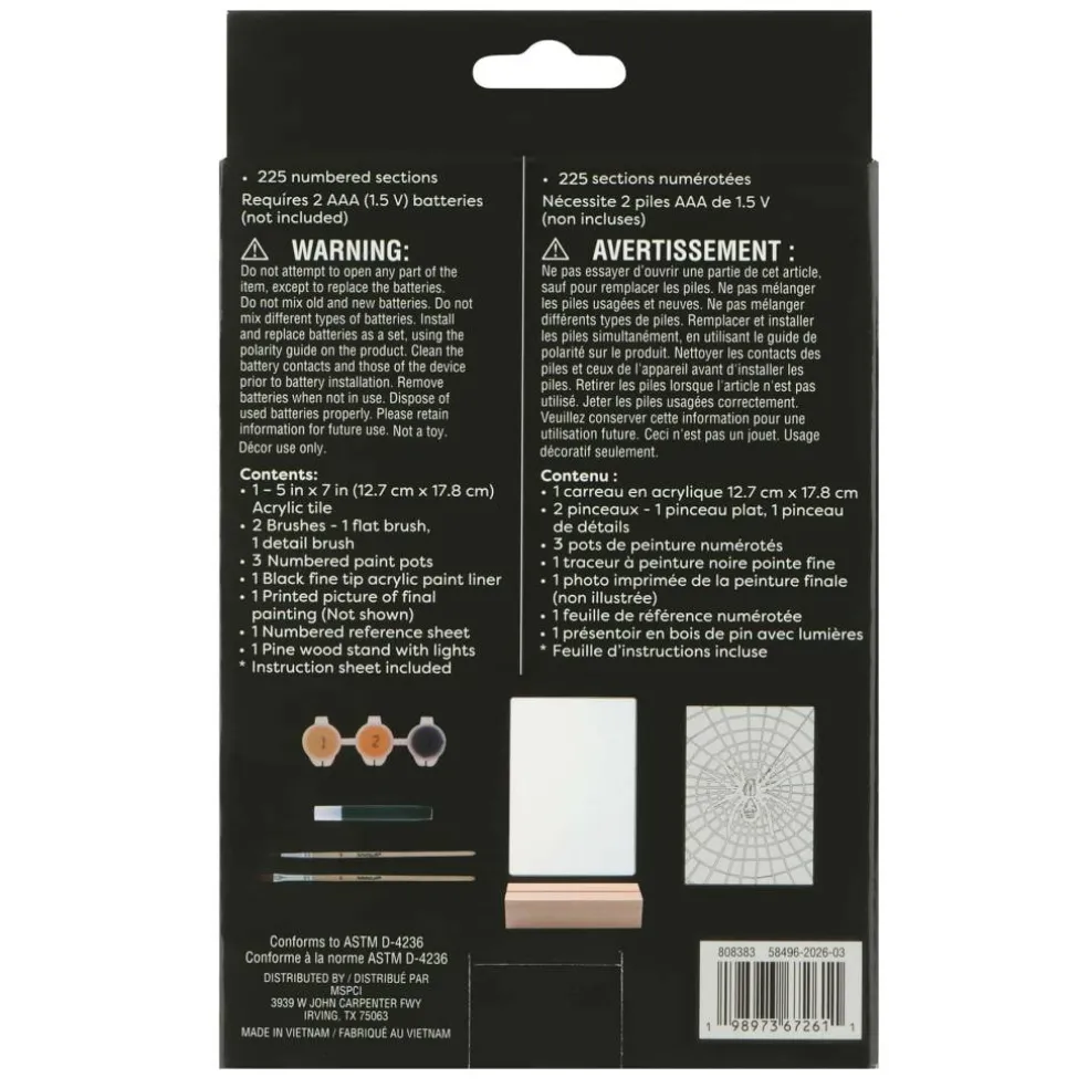 Light Up Spider Paint-by-Number Acrylic Surface Kit by Artist's Loft®