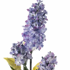 Lilac Spray by Ashland®