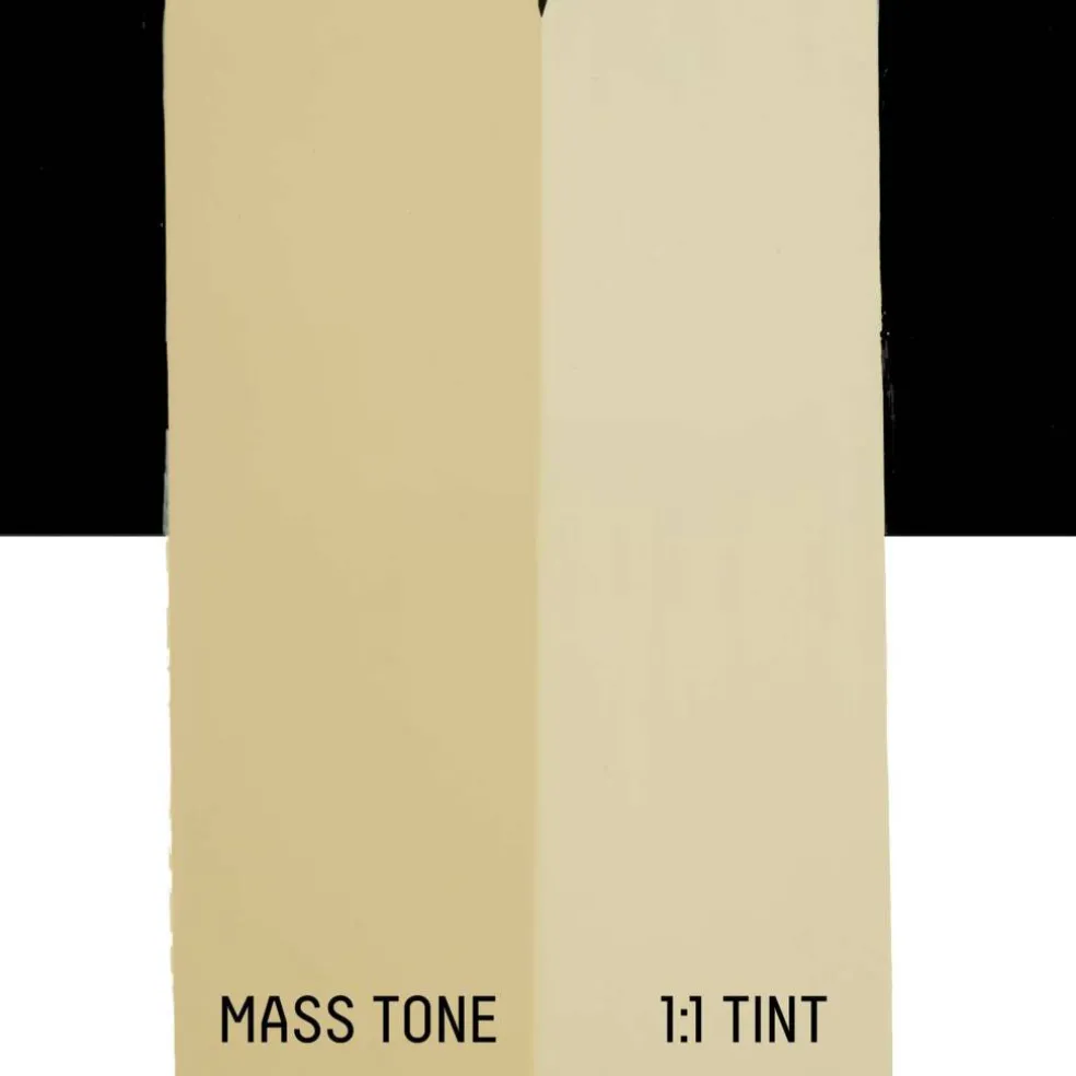 Liquitex® BASICS® 13.5oz. Acrylic Paint