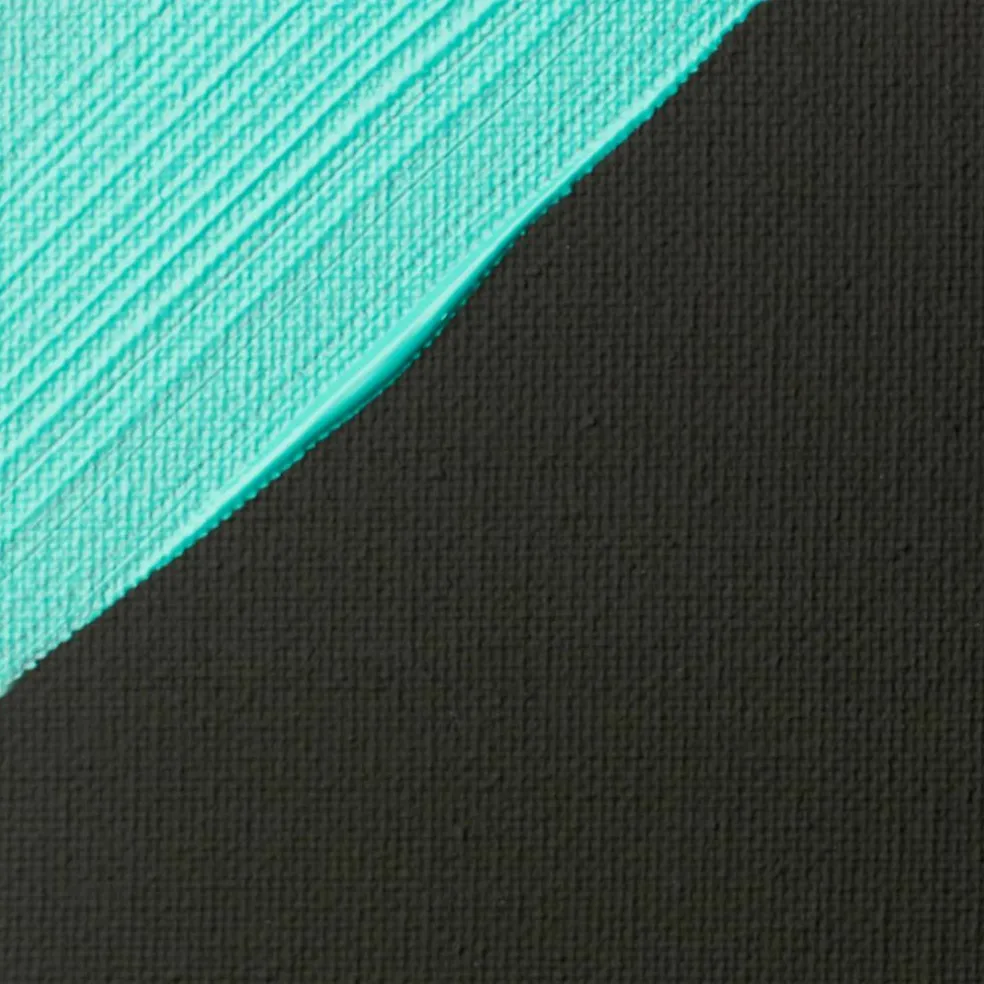 Liquitex® Black Gesso