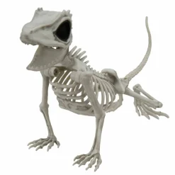 9" Lizard Skeleton by Ashland®