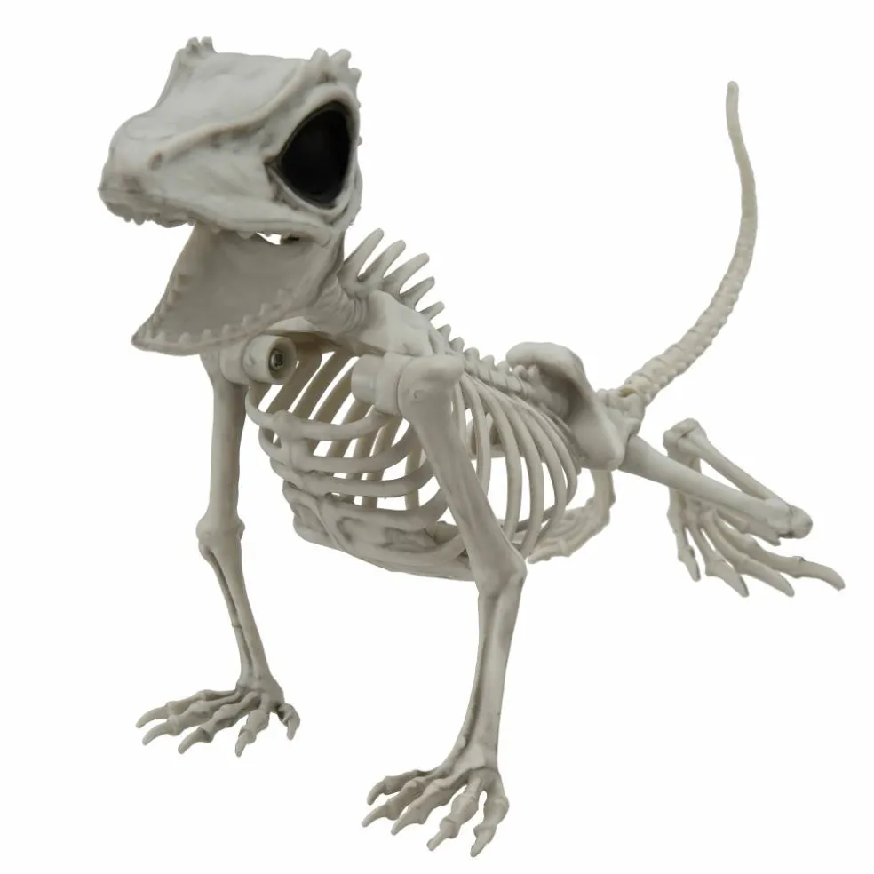 9" Lizard Skeleton by Ashland®
