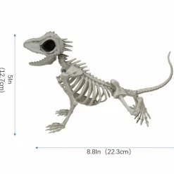 9" Lizard Skeleton by Ashland®