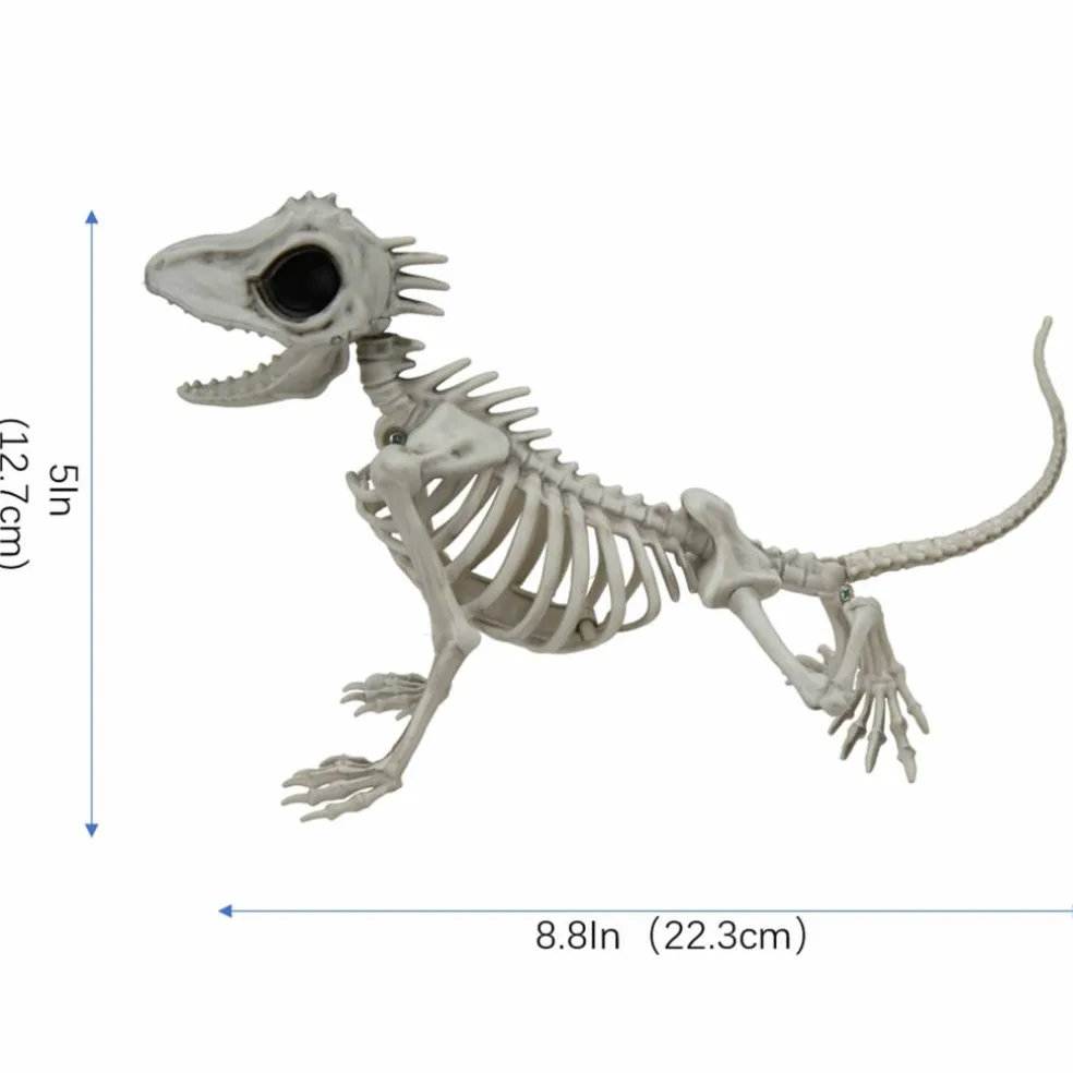 9" Lizard Skeleton by Ashland®