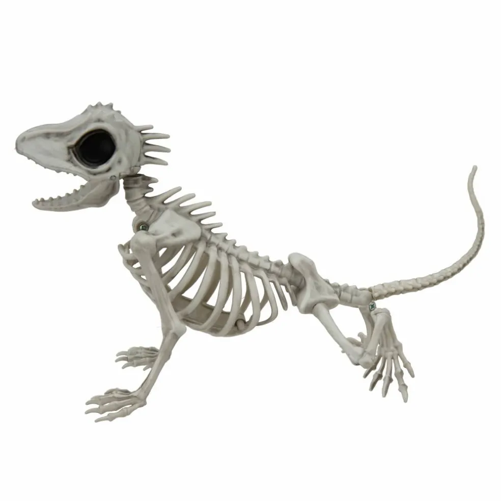 9" Lizard Skeleton by Ashland®