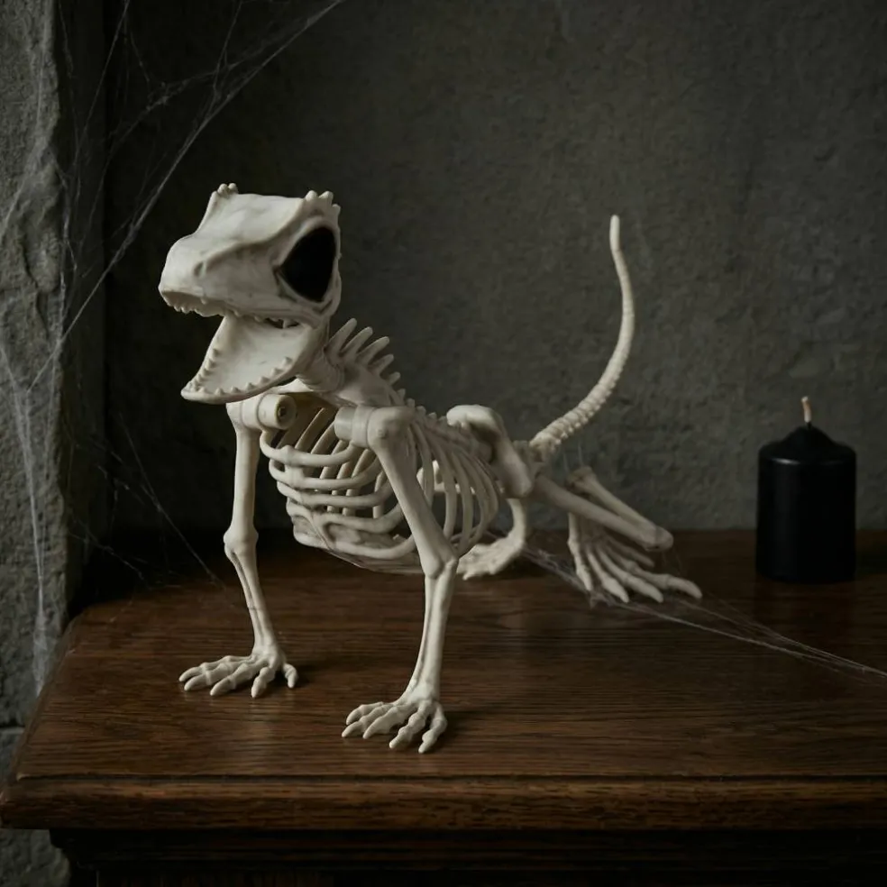 9" Lizard Skeleton by Ashland®