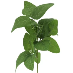 13" Long Eucalyptus Pick by Ashland®