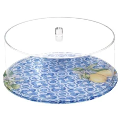Lucite Cake Dome with Blue Design