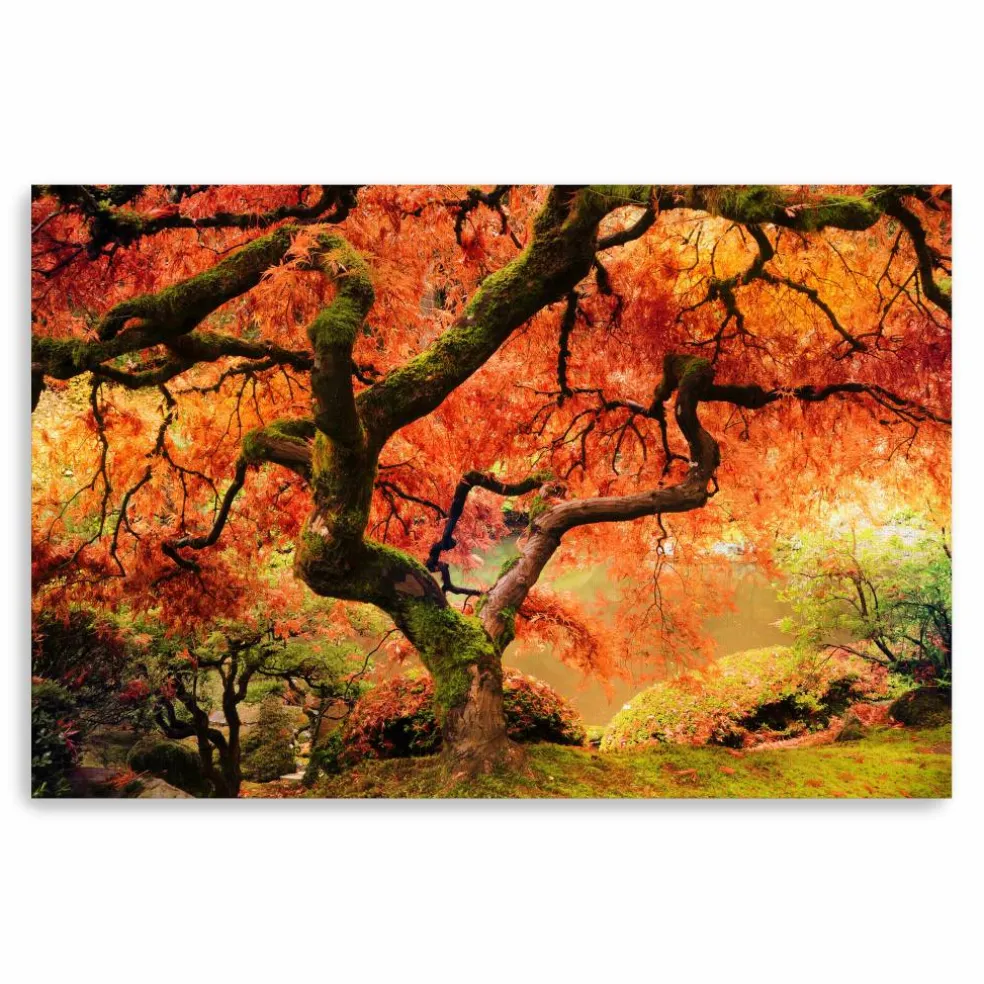 Lumaprints 24" Autumn Symphony Canvas Giclee Wall Art