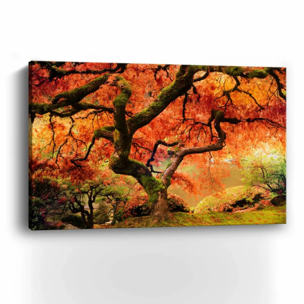 Lumaprints 24" Autumn Symphony Canvas Giclee Wall Art