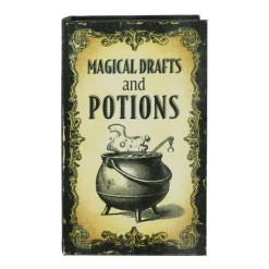 11" Magical Drafts & Potions Decorative Book Box Tabletop Décor by Ashland®