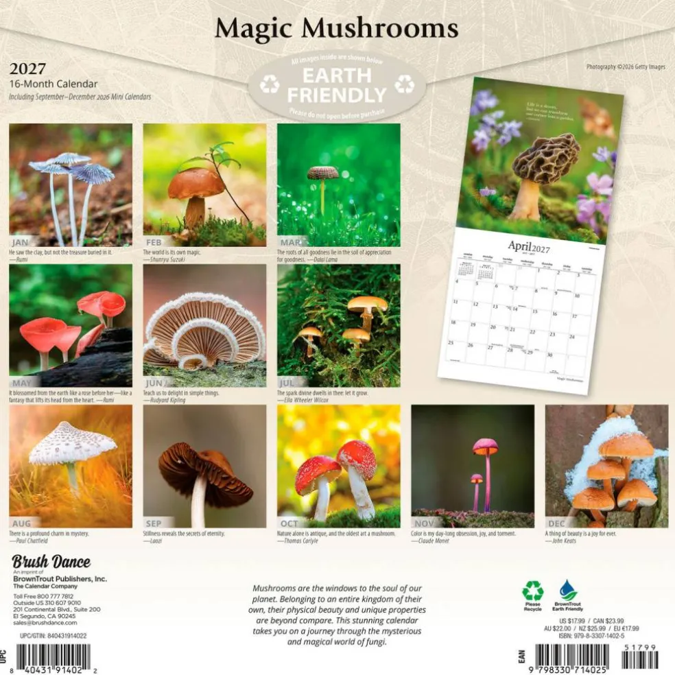 Magic Mushrooms | 2027 12 x 24 Inch (Hanging) Monthly Square Wall Calendar | Plastic-Free