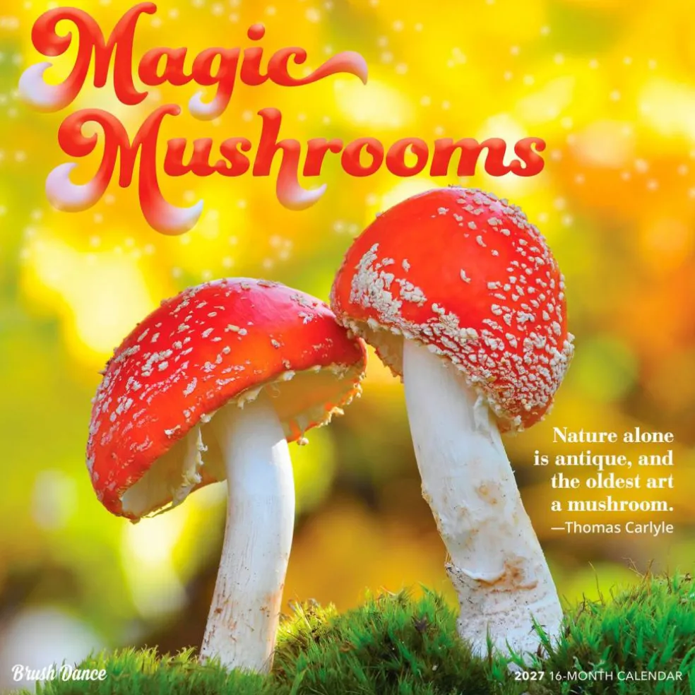 Magic Mushrooms | 2027 12 x 24 Inch (Hanging) Monthly Square Wall Calendar | Plastic-Free