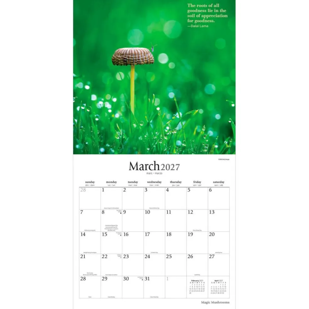 Magic Mushrooms | 2027 12 x 24 Inch (Hanging) Monthly Square Wall Calendar | Plastic-Free