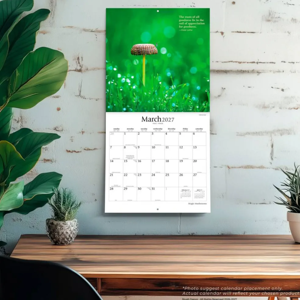 Magic Mushrooms | 2027 12 x 24 Inch (Hanging) Monthly Square Wall Calendar | Plastic-Free