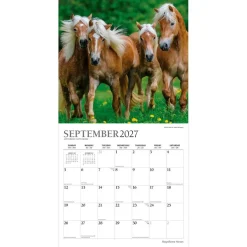 Magnificent Horses | 2027 12 x 24 Inch (Hanging) Monthly Square Wall Calendar | Foil Stamped Cover