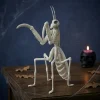 9.4" Mantis Skeleton by Ashland®