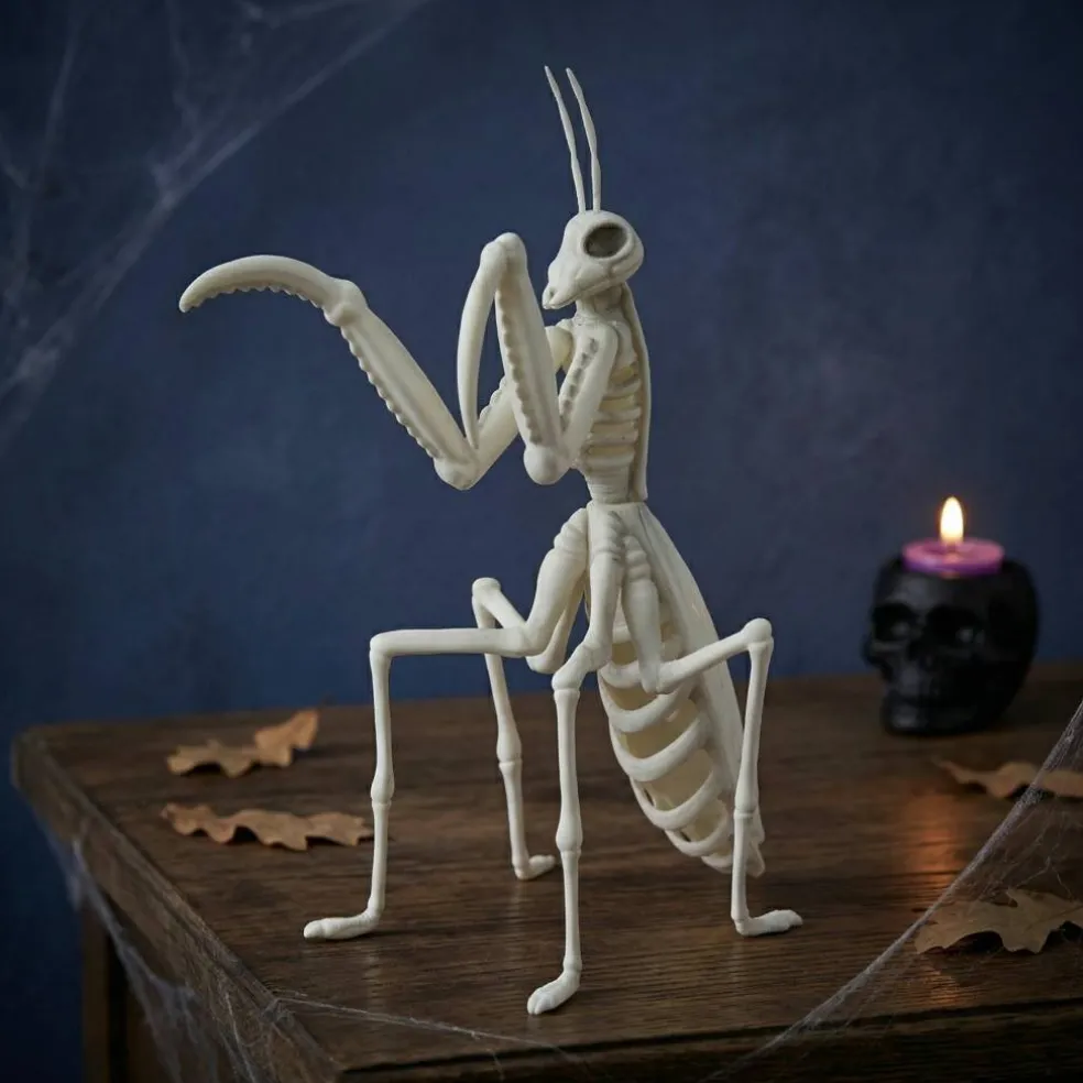 9.4" Mantis Skeleton by Ashland®