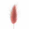Mauve Lagurus Bundle by Ashland®