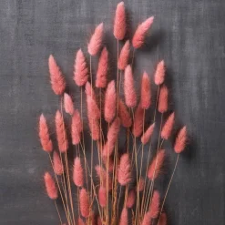 Mauve Lagurus Bundle by Ashland®