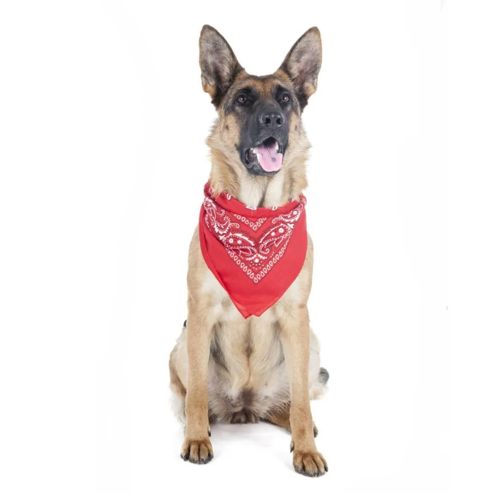 Mechaly 4 Pack Paisley Polyester Pets Dogs Bandana Triangle Shape - Oversized