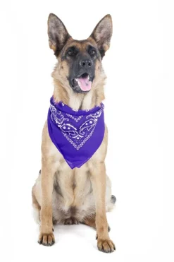 Mechaly 4 Pack Paisley Polyester Pets Dogs Bandana Triangle Shape  - Oversized