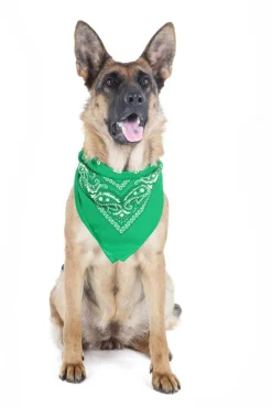 Mechaly 4 Pack Paisley Polyester Pets Dogs Bandana Triangle Shape - Oversized