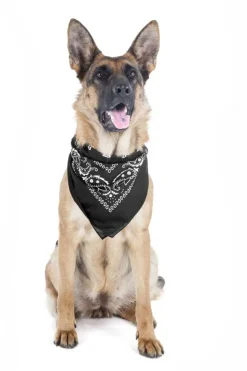 Mechaly 4 Pack Paisley Polyester Pets Dogs Bandana Triangle Shape - Oversized