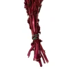 30" Merlot Amaranthus Bundle 7oz