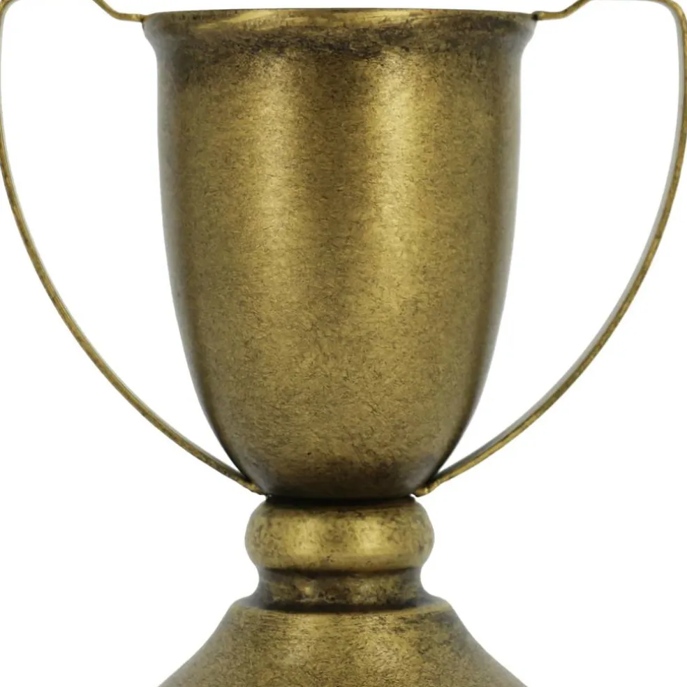Metal Trophy Tabletop Décor by Ashland®