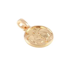 Metal Zodiac Coin Charm by Bead Landing™