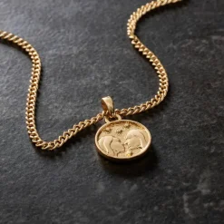 Metal Zodiac Coin Charm by Bead Landing™