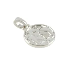 Metal Zodiac Coin Charm by Bead Landing™