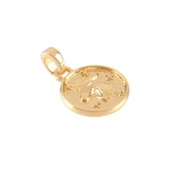 Metal Zodiac Coin Charm by Bead Landing™