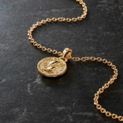 Metal Zodiac Coin Charm by Bead Landing™