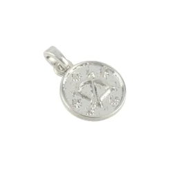Metal Zodiac Coin Charm by Bead Landing™