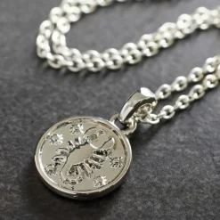 Metal Zodiac Coin Charm by Bead Landing™