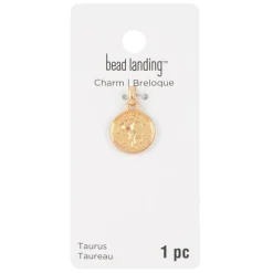 Metal Zodiac Coin Charm by Bead Landing™