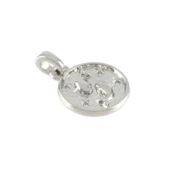 Metal Zodiac Coin Charm by Bead Landing™
