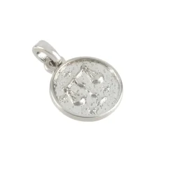 Metal Zodiac Coin Charm by Bead Landing™