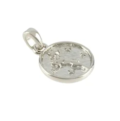 Metal Zodiac Coin Charm by Bead Landing™