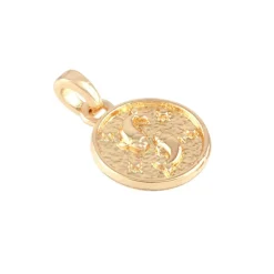 Metal Zodiac Coin Charm by Bead Landing™