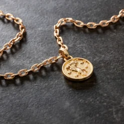 Metal Zodiac Coin Charm by Bead Landing™